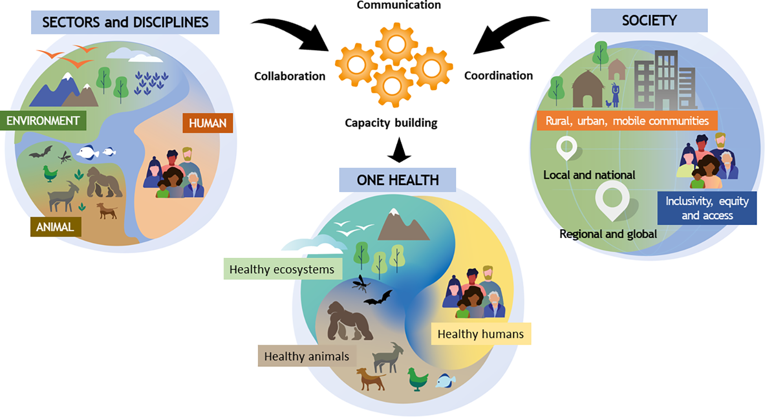 One Health: A new definition for a sustainable and healthy future