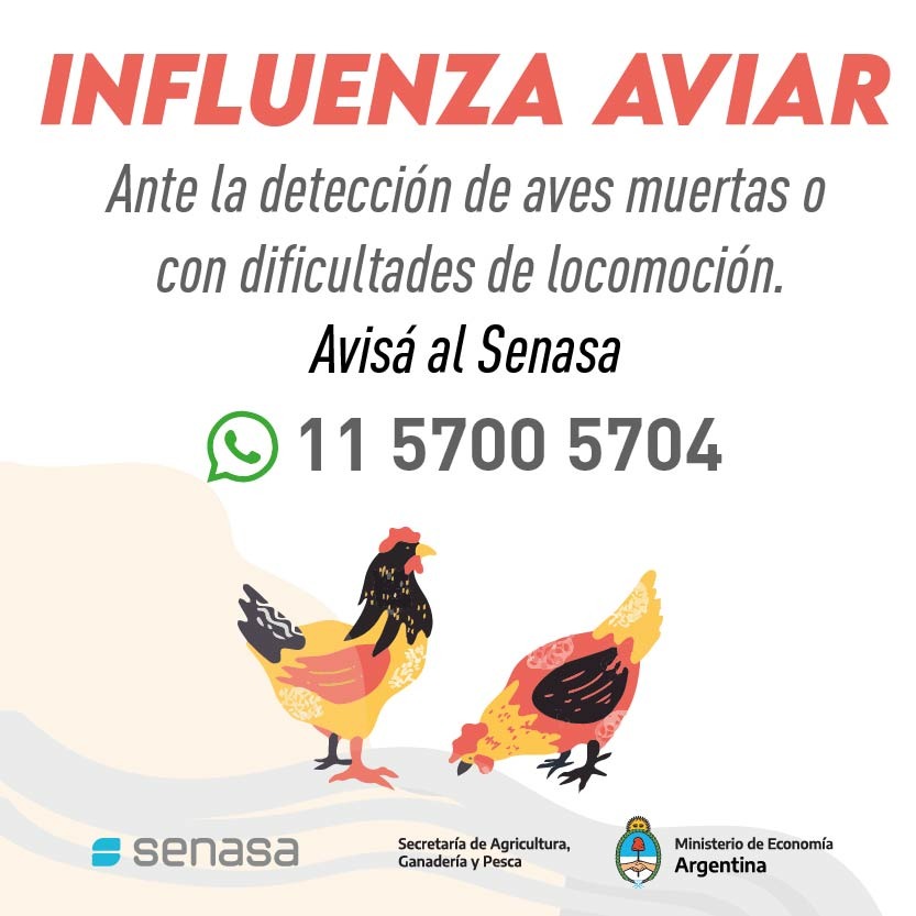 INFLUENZA AVIAR